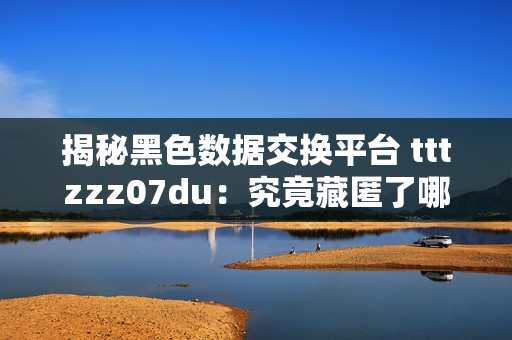 揭秘黑色數(shù)據(jù)交換平臺(tái) tttzzz07du：究竟藏匿了哪些軟件秘辛？
