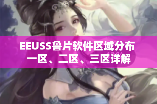 EEUSS魯片軟件區(qū)域分布 一區(qū)、二區(qū)、三區(qū)詳解