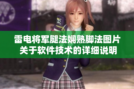 雷電將軍腿法嫻熟腳法圖片 關(guān)于軟件技術(shù)的詳細說明