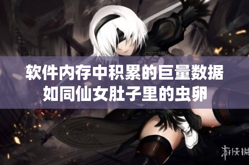 軟件內(nèi)存中積累的巨量數(shù)據(jù)如同仙女肚子里的蟲卵