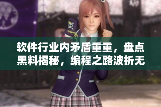 軟件行業(yè)內(nèi)矛盾重重，盤(pán)點(diǎn)黑料揭秘，編程之路波折無(wú)窮