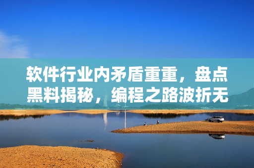 軟件行業(yè)內(nèi)矛盾重重，盤點(diǎn)黑料揭秘，編程之路波折無窮