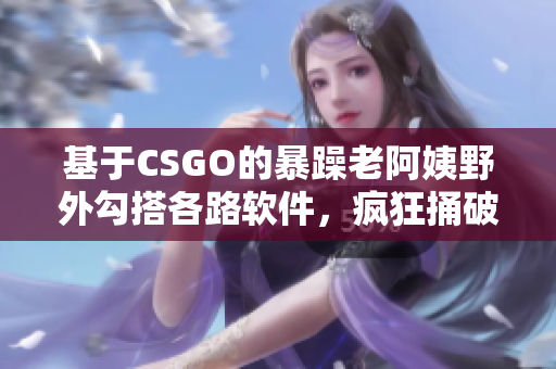 基于CSGO的暴躁老阿姨野外勾搭各路軟件，瘋狂捅破程序瓶頸