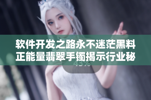 軟件開(kāi)發(fā)之路永不迷茫黑料正能量翡翠手鐲揭示行業(yè)秘密