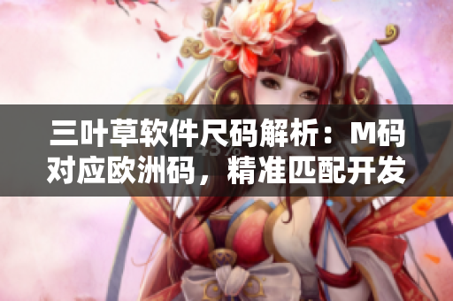 三葉草軟件尺碼解析：M碼對應(yīng)歐洲碼，精準匹配開發(fā)者尺寸需求