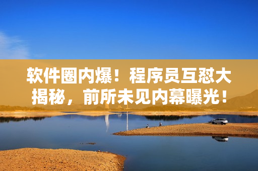 軟件圈內(nèi)爆！程序員互懟大揭秘，前所未見內(nèi)幕曝光！【獨(dú)家】