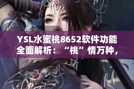 YSL水蜜桃8652軟件功能全面解析：“桃”情萬種，一圖看懂
