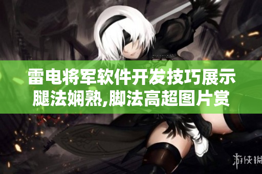 雷電將軍軟件開發(fā)技巧展示腿法嫻熟,腳法高超圖片賞析 
