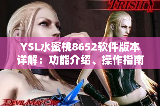 YSL水蜜桃8652軟件版本詳解：功能介紹、操作指南及用戶體驗分享
