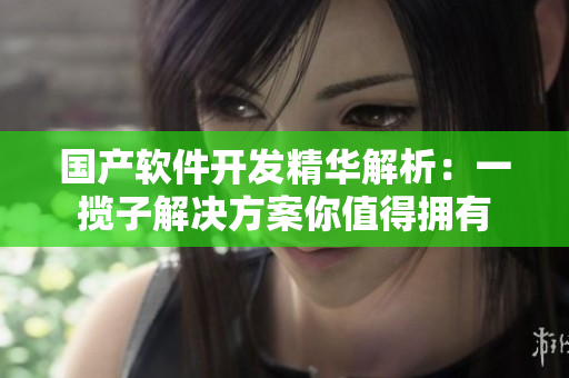 國(guó)產(chǎn)軟件開(kāi)發(fā)精華解析：一攬子解決方案你值得擁有