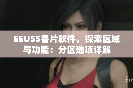 EEUSS魯片軟件，探索區(qū)域與功能：分區(qū)選項(xiàng)詳解