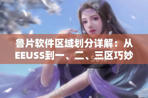 魯片軟件區(qū)域劃分詳解：從EEUSS到一、二、三區(qū)巧妙解析