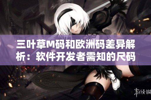 三葉草M碼和歐洲碼差異解析：軟件開發(fā)者需知的尺碼轉換攻略