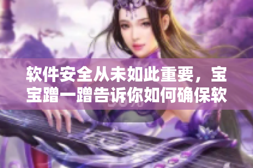 軟件安全從未如此重要，寶寶蹭一蹭告訴你如何確保軟件安全和數(shù)據(jù)保護(hù)