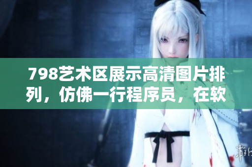 798藝術(shù)區(qū)展示高清圖片排列，仿佛一行程序員，在軟件世界中漫步