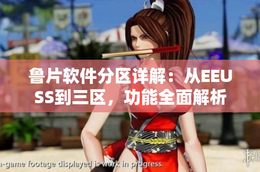 魯片軟件分區(qū)詳解：從EEUSS到三區(qū)，功能全面解析