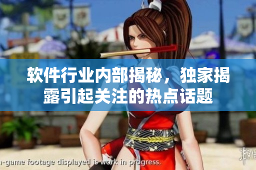 軟件行業(yè)內(nèi)部揭秘，獨(dú)家揭露引起關(guān)注的熱點(diǎn)話題