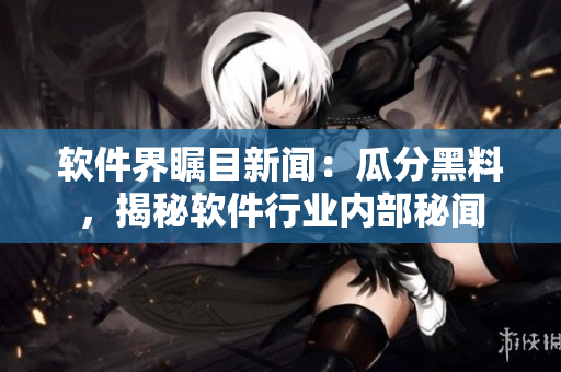 軟件界矚目新聞：瓜分黑料，揭秘軟件行業(yè)內(nèi)部秘聞