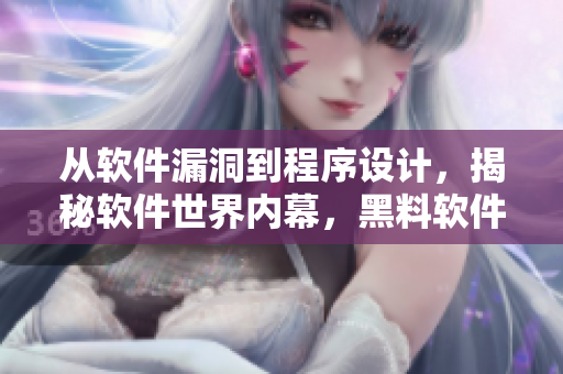 從軟件漏洞到程序設(shè)計(jì)，揭秘軟件世界內(nèi)幕，黑料軟件揭秘報(bào)告立體式解讀