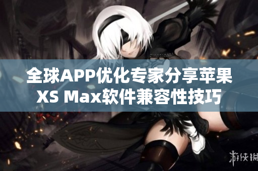 全球APP優(yōu)化專家分享蘋果XS Max軟件兼容性技巧