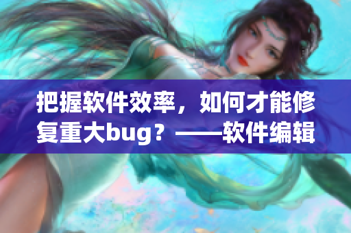 把握軟件效率，如何才能修復(fù)重大bug？——軟件編輯的探討