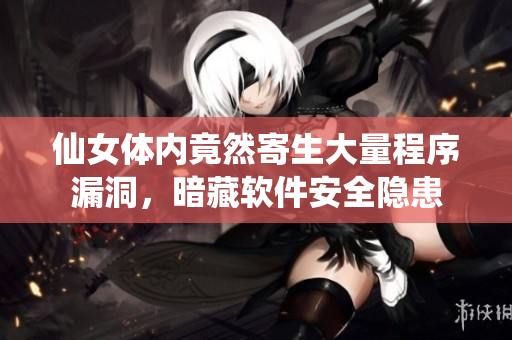 仙女體內(nèi)竟然寄生大量程序漏洞，暗藏軟件安全隱患