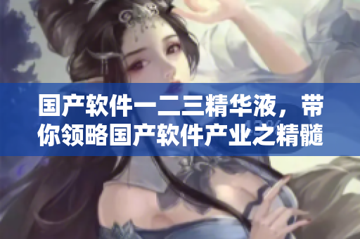 國產(chǎn)軟件一二三精華液，帶你領(lǐng)略國產(chǎn)軟件產(chǎn)業(yè)之精髓