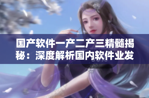 國產軟件一產二產三精髓揭秘：深度解析國內軟件業(yè)發(fā)展歷程