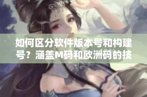 如何區(qū)分軟件版本號和構建號？涵蓋M碼和歐洲碼的技巧分享