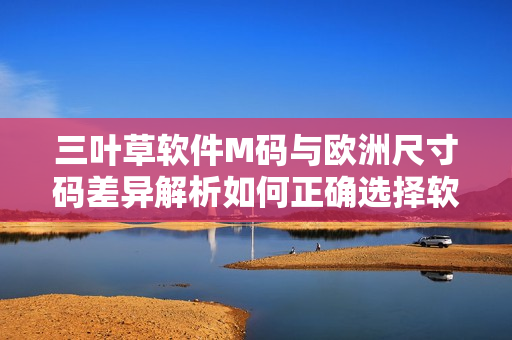 三葉草軟件M碼與歐洲尺寸碼差異解析如何正確選擇軟件開發(fā)者服裝大小？