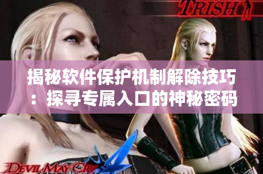 揭秘軟件保護(hù)機(jī)制解除技巧：探尋專屬入口的神秘密碼