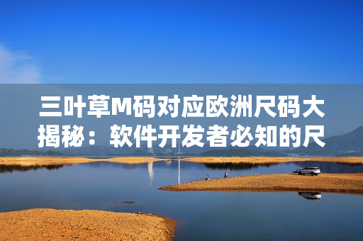 三葉草M碼對(duì)應(yīng)歐洲尺碼大揭秘：軟件開發(fā)者必知的尺碼對(duì)照表