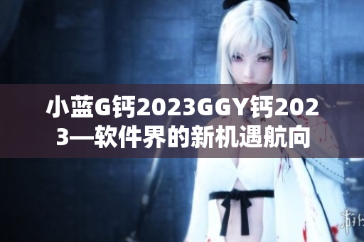 小藍(lán)G鈣2023GGY鈣2023—軟件界的新機(jī)遇航向