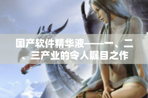 國產(chǎn)軟件精華液——一、二、三產(chǎn)業(yè)的令人矚目之作