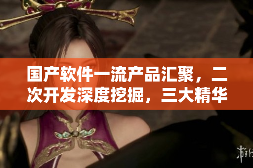 國產(chǎn)軟件一流產(chǎn)品匯聚，二次開發(fā)深度挖掘，三大精華液助力業(yè)務(wù)提升