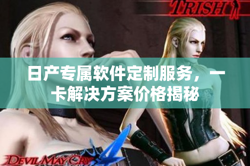 日產(chǎn)專屬軟件定制服務(wù)，一卡解決方案價格揭秘