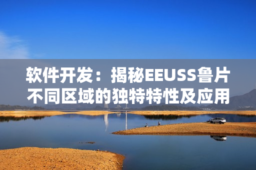 軟件開發(fā)：揭秘EEUSS魯片不同區(qū)域的獨特特性及應(yīng)用場景