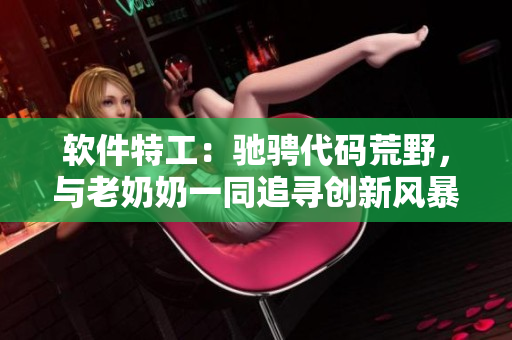 軟件特工：馳騁代碼荒野，與老奶奶一同追尋創(chuàng)新風暴