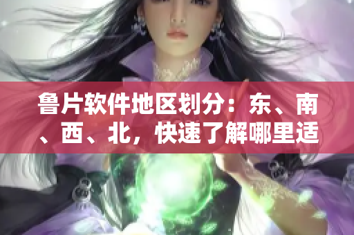 魯片軟件地區(qū)劃分：東、南、西、北，快速了解哪里適合下載使用