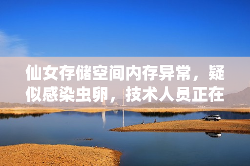 仙女存儲(chǔ)空間內(nèi)存異常，疑似感染蟲卵，技術(shù)人員正在緊急處理