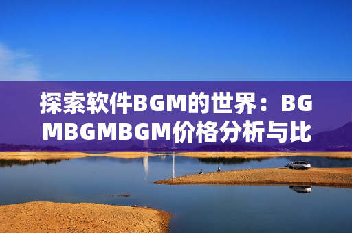 探索軟件BGM的世界：BGMBGMBGM價(jià)格分析與比較