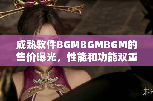 成熟軟件BGMBGMBGM的售價(jià)曝光，性能和功能雙重提升