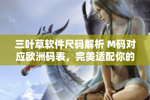 三葉草軟件尺碼解析 M碼對(duì)應(yīng)歐洲碼表，完美適配你的軟件需求