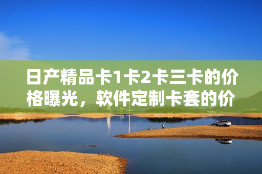 日產(chǎn)精品卡1卡2卡三卡的價格曝光，軟件定制卡套的價格一覽