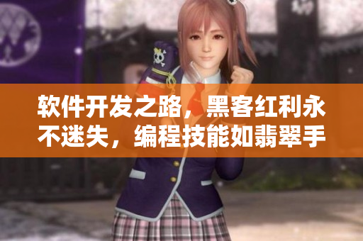 軟件開發(fā)之路，黑客紅利永不迷失，編程技能如翡翠手鐲閃耀璀璨。