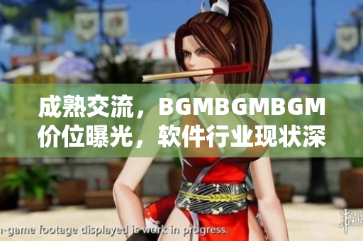 成熟交流，BGMBGMBGM價(jià)位曝光，軟件行業(yè)現(xiàn)狀深度分析
