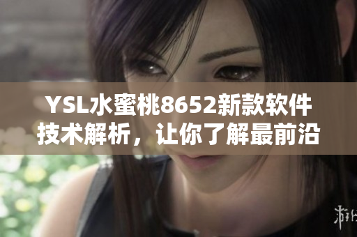 YSL水蜜桃8652新款軟件技術(shù)解析，讓你了解最前沿的使用方法