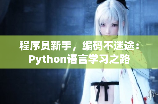 程序員新手，編碼不迷途：Python語言學(xué)習(xí)之路