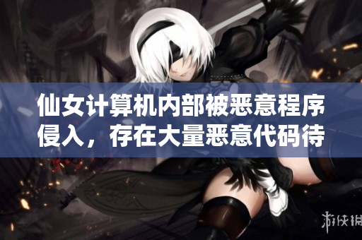 仙女計算機內(nèi)部被惡意程序侵入，存在大量惡意代碼待清除