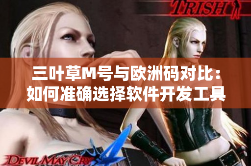 三葉草M號與歐洲碼對比：如何準確選擇軟件開發(fā)工具尺碼